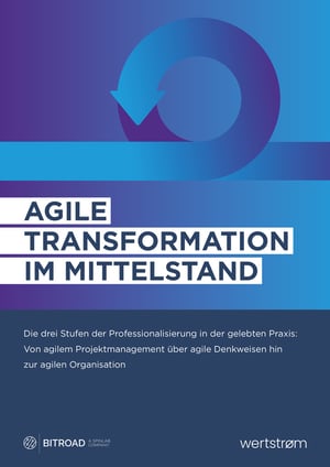 BR - Cover Studie Agile Transformation