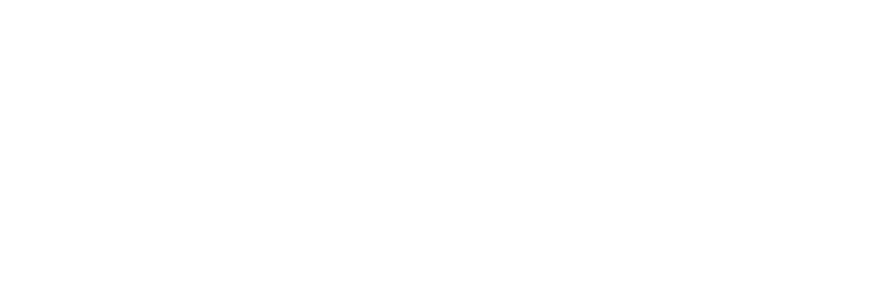 Logokombination-Bitroad-SpinLab-white